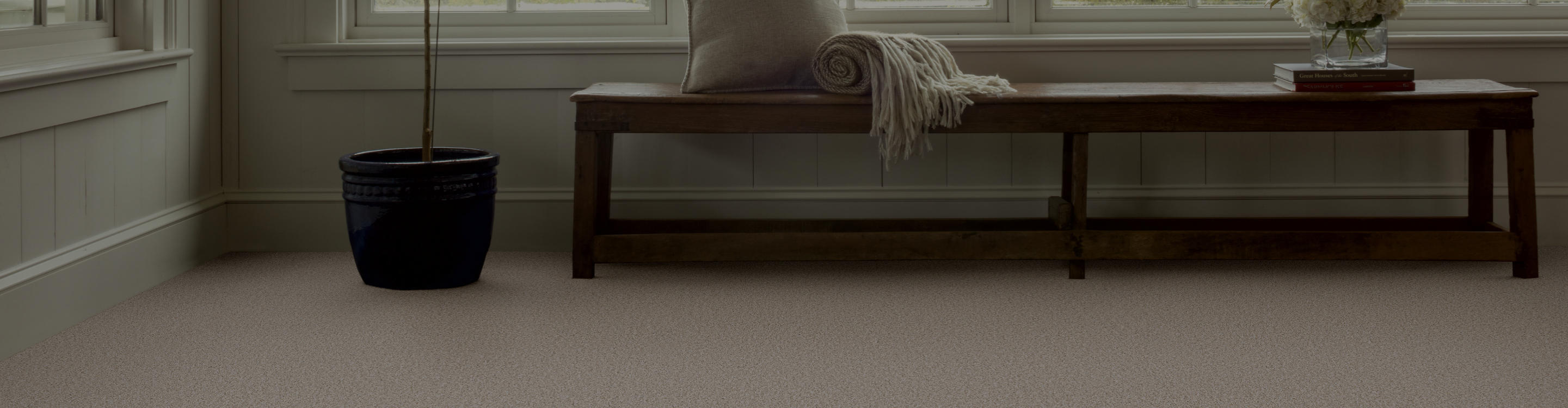 carpet flooring in sitting area