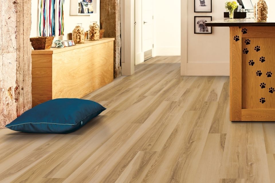 Commercial vinyl flooring in dog-friendly commercial space 