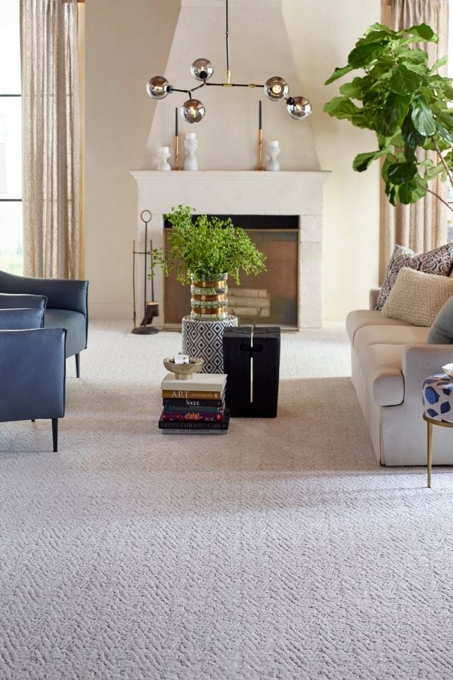 Tigressa Passages textured neutral color carpet in living room 