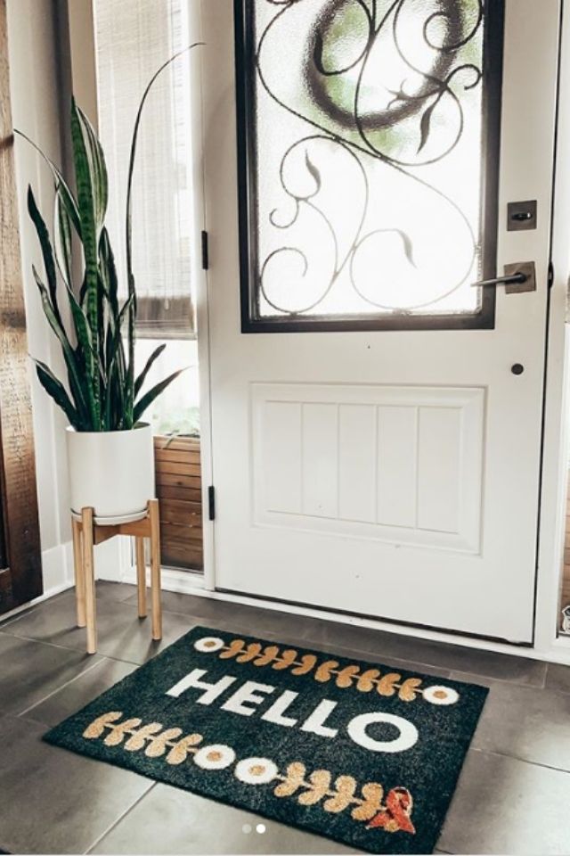 Interior front door design with welcome mat and snake plant 