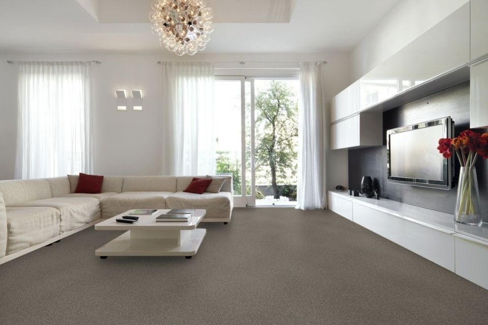 Affordable carpet in living room with couch and television 