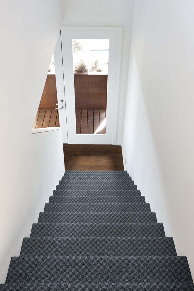 Dark navy blue carpet on staircase 