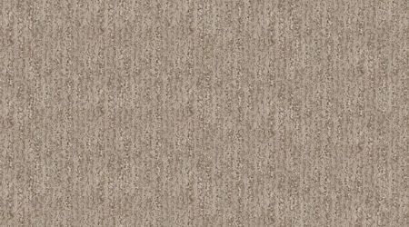 Modern carpet swatch for modern interior design spaces by Carpet One