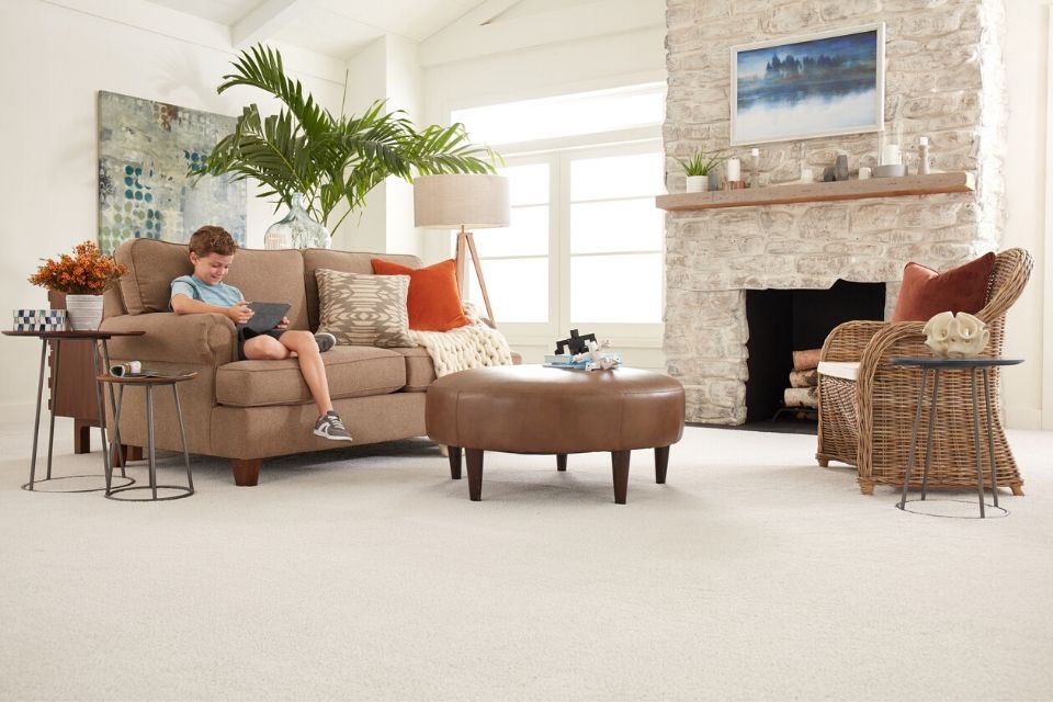 Traditionally styled living room with soft carpet 