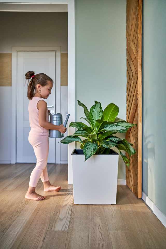 Types of Hardwood Flooring | Carpet One Floor & Home